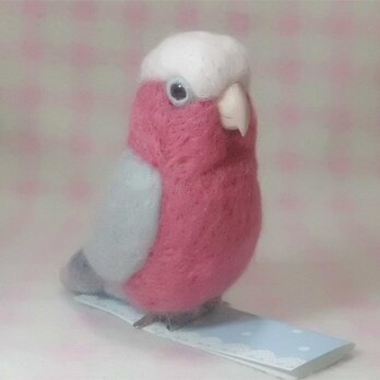 モモイロインコ mini♪☆マグネット/ブローチどちらか選択 羊毛フェルト　受注作成の画像