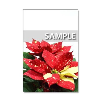 1013) クリスマス　5　　ポストカード5枚組の画像
