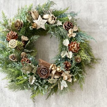 Green bigwreath