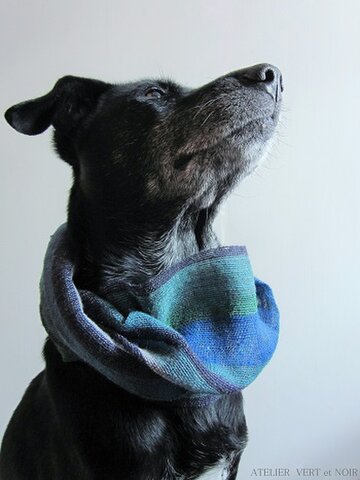 ATELIER VERT et NOIR