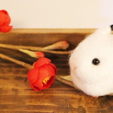 ゆきだんごのゆきうさぎ　エゾユキウサギ