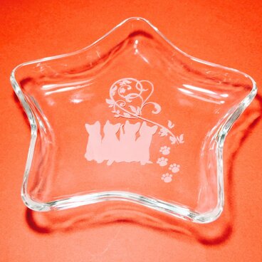 猫 猫グッズ スタープレート(ハンドメイド)ガラス彫刻