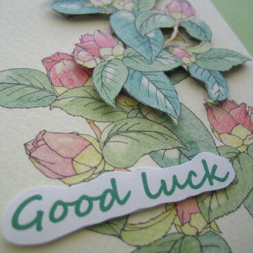 Goodluck カード◇２Ｌ白色カード 【春桃色 やぶつばき】 （1枚）