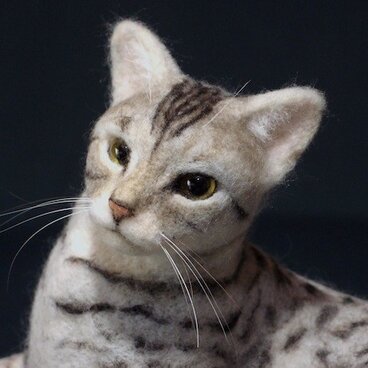 【再販】オシキャット