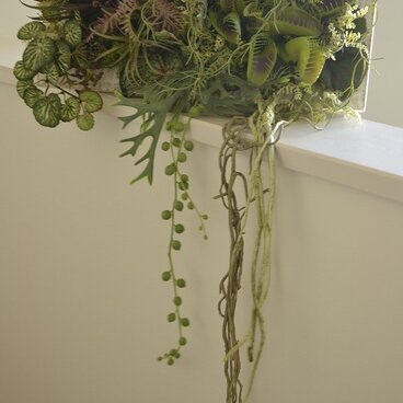 食虫プランツ ロング（置き型アレンジ）