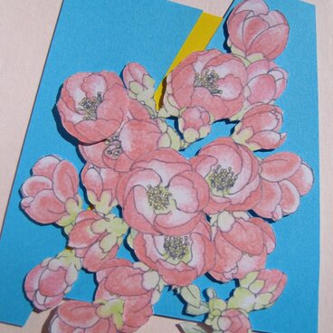 フリーメッセージ【草木瓜】◇Ａ５桃色カード（青＆黄色背景）