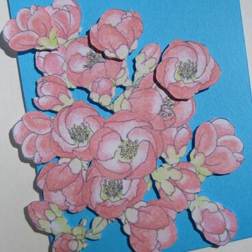 フリーメッセージ【草木瓜】◇Ａ５白色カード（青色背景）