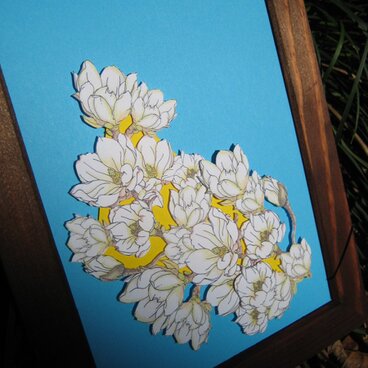 ２L型額縁入り【白木蓮】無地カード with 青色＆黄色背景