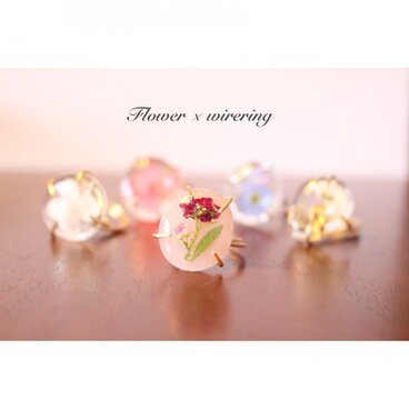 水たまりお花リング・ミルキーピンク（アリッサム）