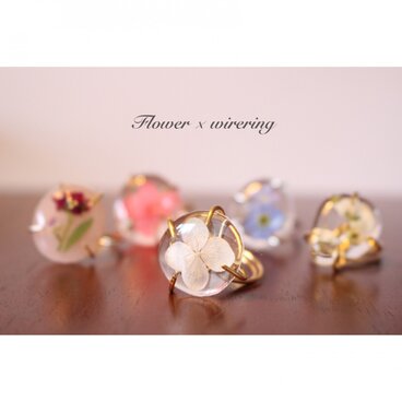 水たまりお花リング（紫陽花ホワイト）