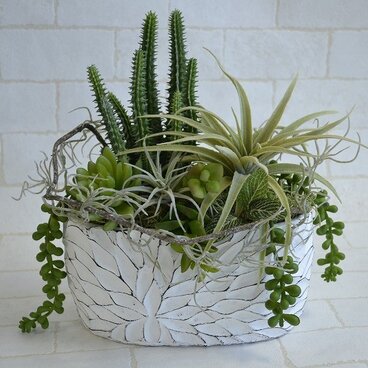 多肉プランツ　アレンジメント