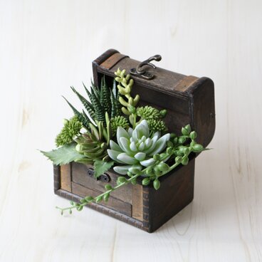 インテリアのアクセントに♪多肉のBOXアレンジ