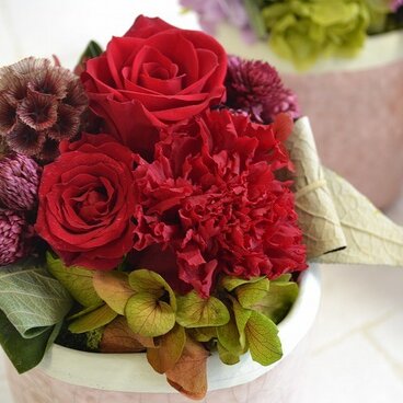 parfum de couleur  赤系