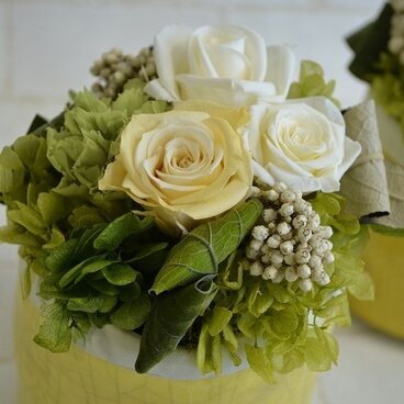 parfum de couleur  クリーム系