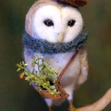 草花（メンフクロウ）