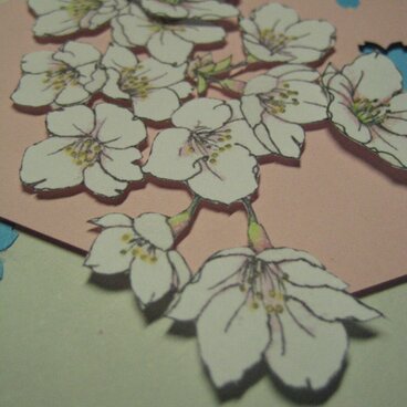 フリーメッセージ【吉野さくら】◇Ａ５薄緑色カード（桃色背景）