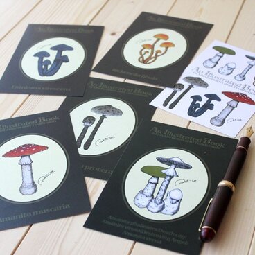 ●キノコ図鑑シリーズ2●アンティークキノコ図鑑のポストカード6種類セット