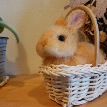 カゴ入り羊毛うさｻﾝ♡ネザーランドドワーフ