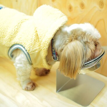 ななめスタンド 【大】 洗えるステンレスフードスタンド