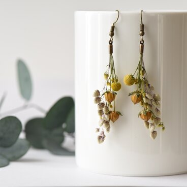 セファロフォラのピアス