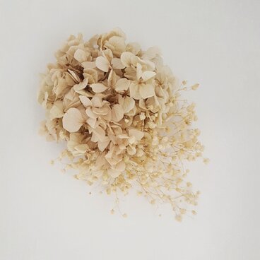 ベージュのリース