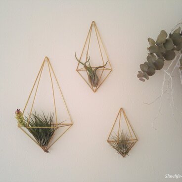北欧インテリア「真鍮製のヒンメリ 壁掛けエアプランツハンガー　SMLの三個セット　観葉植物」