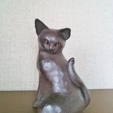 猫　あそんでくれる？