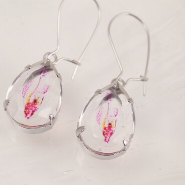 標本 ピアス しずく 〈ピンクのさかな〉