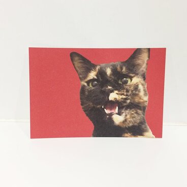 しゃべるサビ猫ポストカード