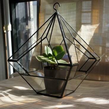 なっちゃんのテラリウム