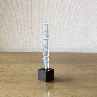 ハーバリウム/スターフラワー1連