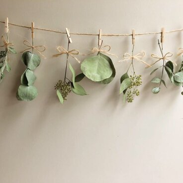 ユーカリドライガーランド