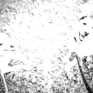 amez様オーダー専用ページ