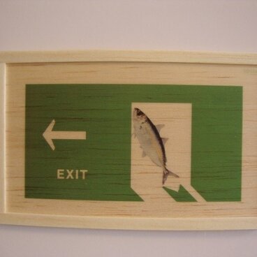 Fish exit sign