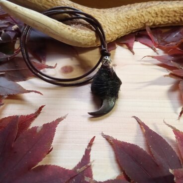 熊爪（ベアクロー）ワイルドネックレス　【希少！ツキノワグマ　肉球付き】