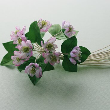 ユキワリソウのコサージュG1