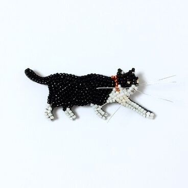 お散歩猫さんです ハチワレ猫