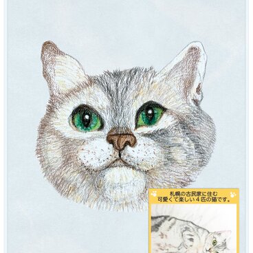 猫のポストカード