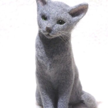 【再販】ロシアンブルー