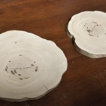 #コーヒーの木 #コースター