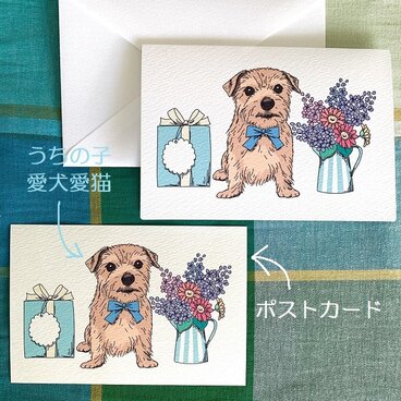 ＜オーダーメイド＞多目的に使えるかわいいポストカード＊20枚