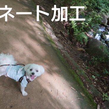 ラミネート加工 (スマホケースのラミネート加工)