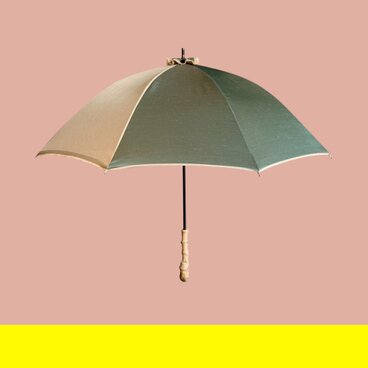 シャンブレーの日傘_Plant Veins