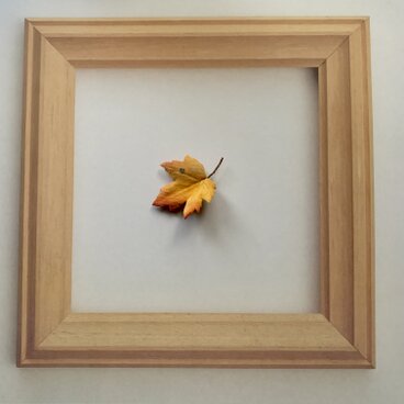 楓のピンバッチ