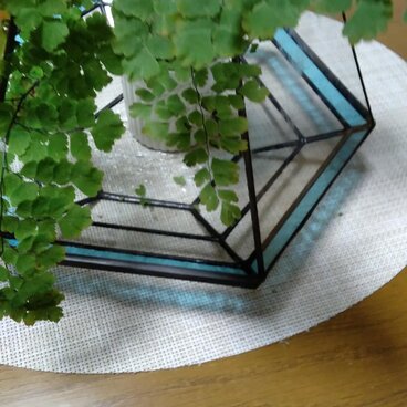 テラリューム　青