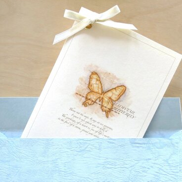 SWALLOWTAIL BUTTERFLY-2013-