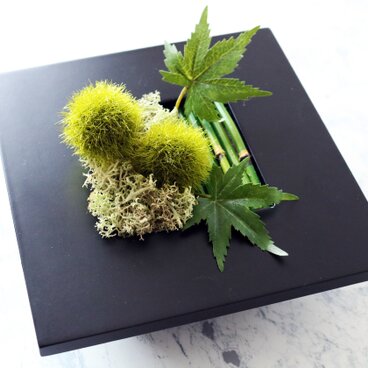 ◆New2020！観葉グリーン・インテリアアート◆和モダンもみじ・壁掛けにも