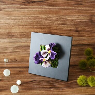 ◆New2020！観葉グリーン・インテリアアート◆和モダン苔竹ビオラ・壁掛けにも