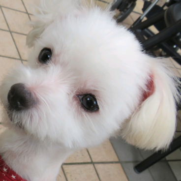 ラミネート加工