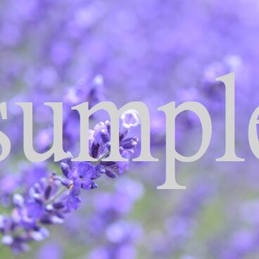 言葉*『ねぇ、と君が言った。』2枚組み